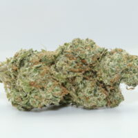 Orange Diesel THCA Hemp Flower