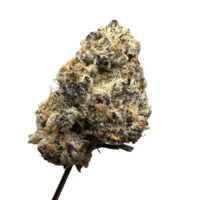 Purple Punch Exotic THCA Hemp Flower