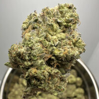 White Widow Mid Shelf THCA Hemp Flower