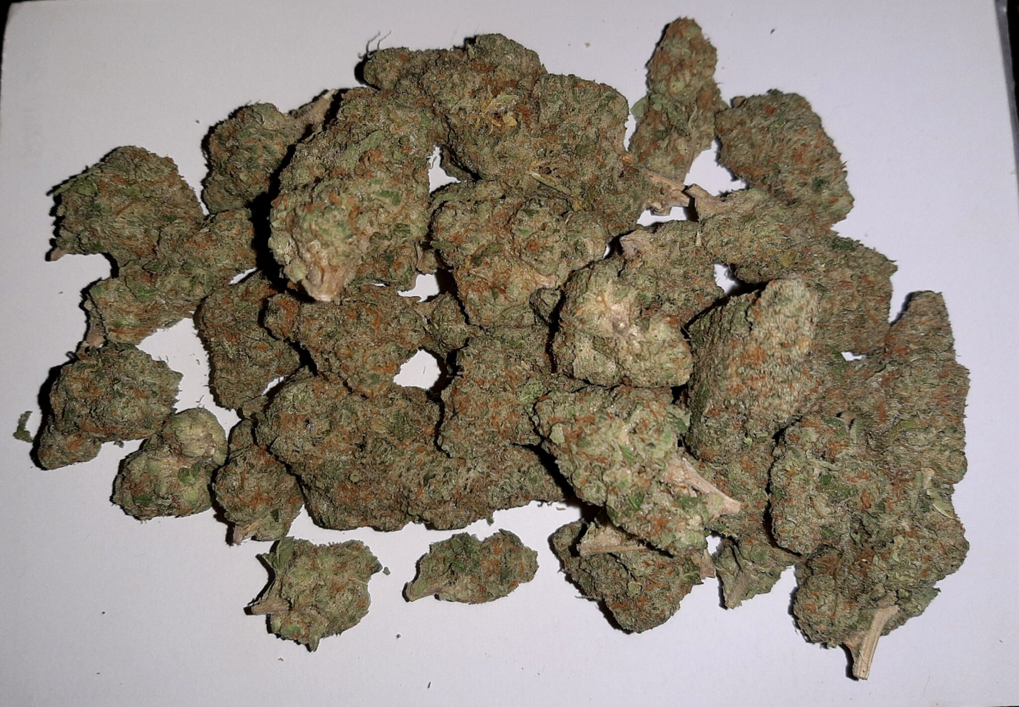 Image #1 from ShredDurst