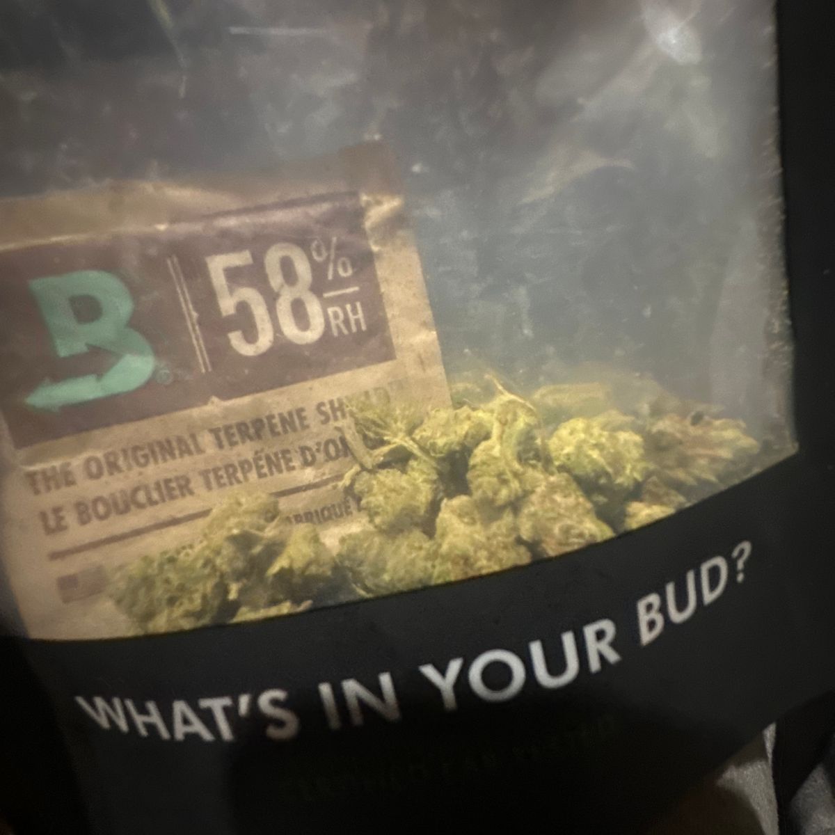 Image #1 from Dr.Ganja Customer
