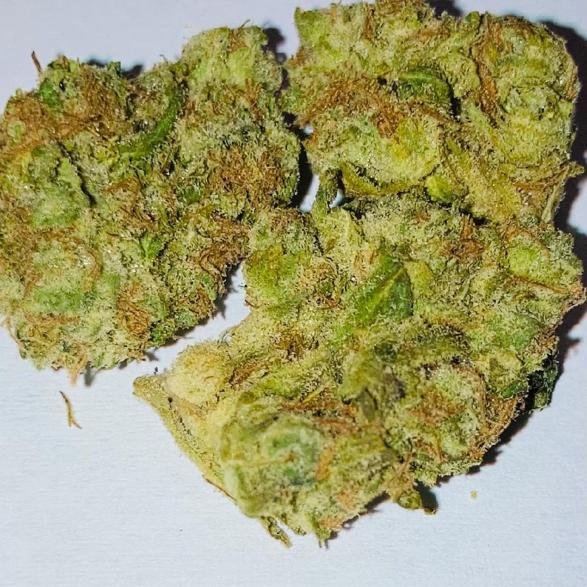 Image #1 from Dr.Ganja Customer