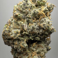 Alien Mintz Exotic THCA Hemp Flower