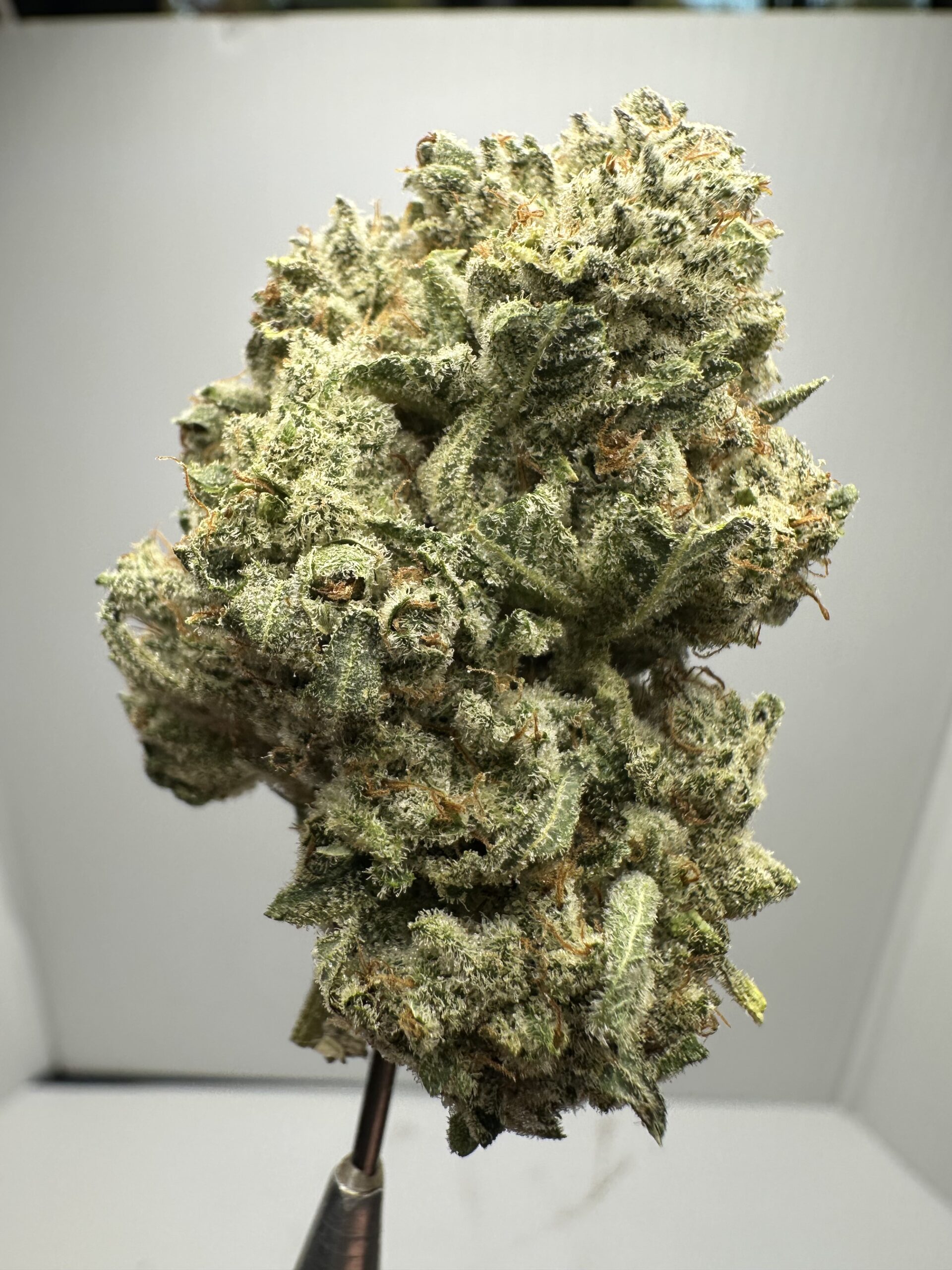 Gorilla Glue Exotic Washington Cut - Image 2