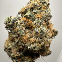 Sweetest Taboo Exotic THCA Hemp Flower