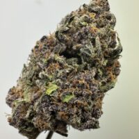 Tropicana Cherry Indoor THCA Hemp Flower